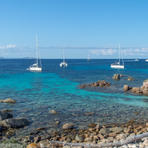Corse