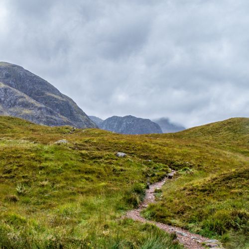 Ecosse